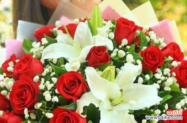 探索玫瑰花背后的女王气质 女王之花——玫瑰花的花语