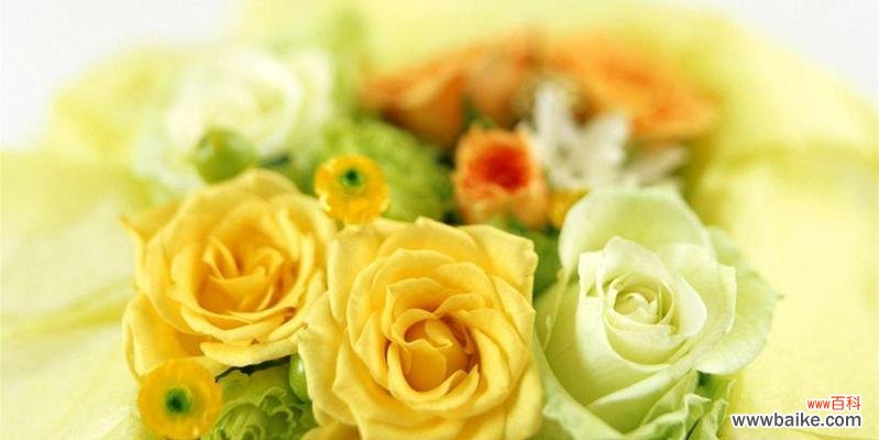 向日葵 永远快乐的花语——以向日葵为例