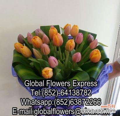 用花开语诠释无价的友谊 友情之花——以康乃馨的花语描绘友情之美