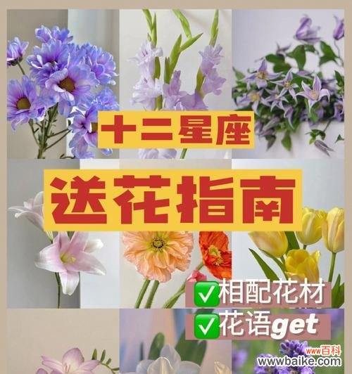 相遇于春梦 相遇的花语