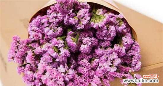 勿忘我花语背后的深刻含义 勿忘我花语的象征与寓意