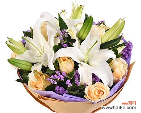 揭开香槟百合的神秘面纱 香槟百合花语与寓意的探究