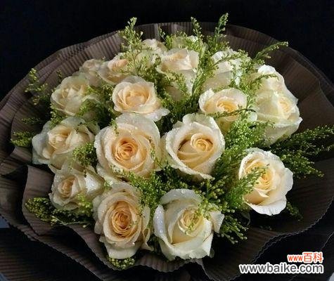 探寻香槟玫瑰花的花语和意义 香槟玫瑰花