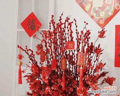 银柳花的象征与美好寓意 银柳的花语和寓意的意义