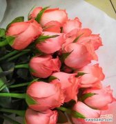 探寻玫瑰在影星世界中的特殊意义 玫瑰的芳香传奇