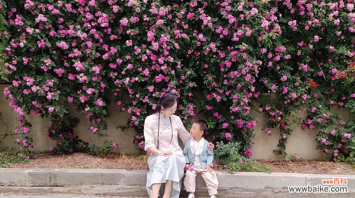 母子情深 中国母子象征文化的独特魅力