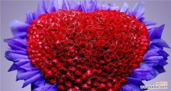 探索美丽与寓意 我最喜欢的花及其花语