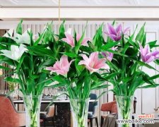 美丽与富贵的完美结合 百合花与富贵竹的搭配意义