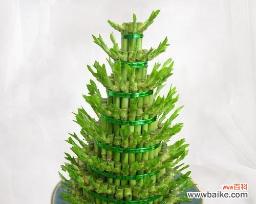 以搬家送富贵竹寓意 搬家送富贵竹，吉祥如意之选