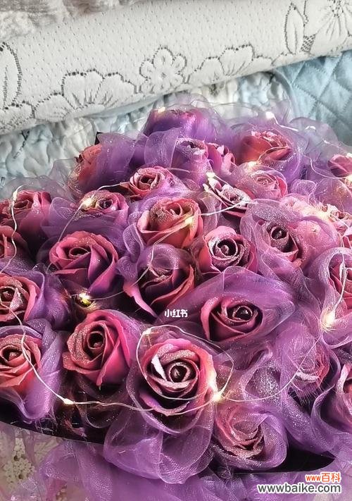 探寻玫瑰花背后的意义 玫瑰花的不同颜色与含义