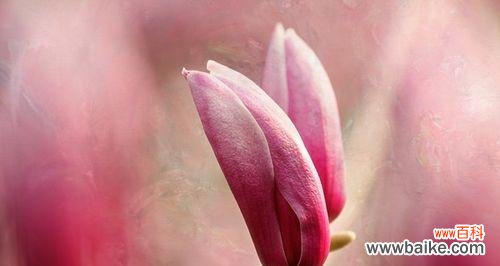 语低香近 倦倚玉栏，月晕容易