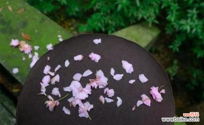 感恩的重要性与意义 以鞠谢心领,感恩的力量