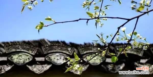 感恩的重要性与意义 以鞠谢心领,感恩的力量