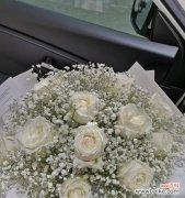 寓意深远的满天星花朵与心灵的共鸣 白色的满天星