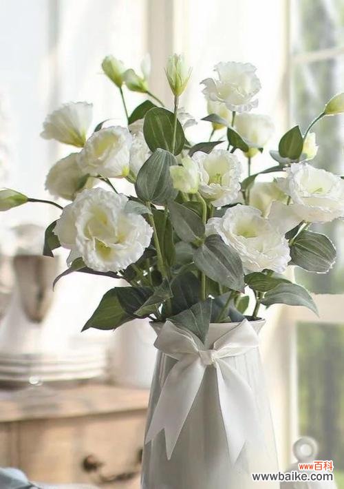 白色花卉的浪漫与象征意义 洋桔梗花语与白色花卉之美