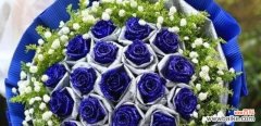 寻找真爱的勇气与希望 蓝色的奇迹——一朵蓝玫瑰的象征意义