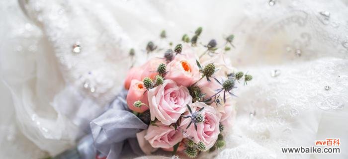 一朵粉玫瑰 粉玫瑰的象征意义