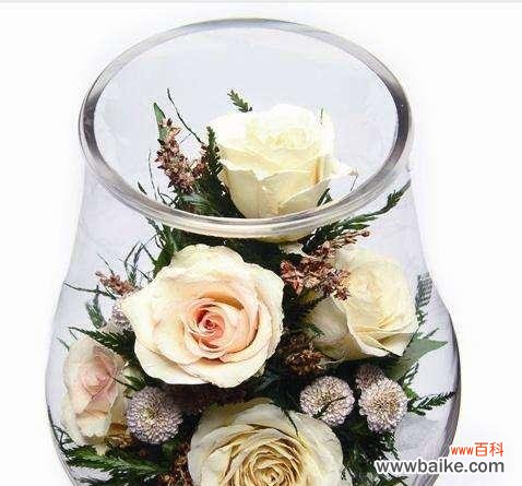 探索永生花所传达的情感与意义 永生花的花语和寓意