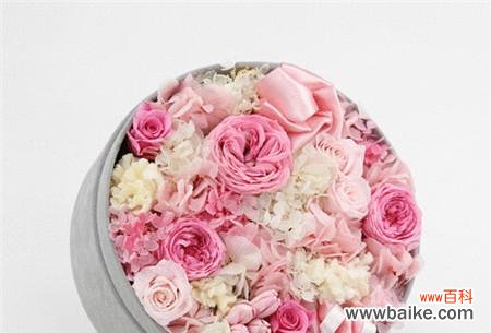 探索永生花所传达的情感与意义 永生花的花语和寓意