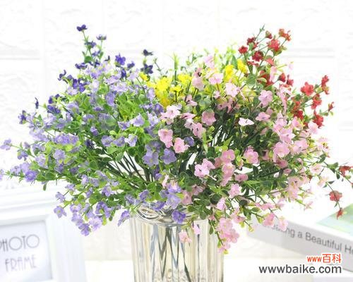 探索尤加利花语的真正意义 尤加利花语的深层含义