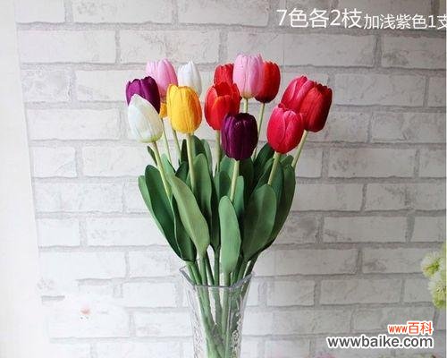 以郁金香送几朵的含义探索 郁金香的花语与寓意