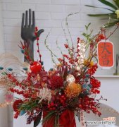 探秘针垫花的神秘语言 《针垫花的花语与养护指南》