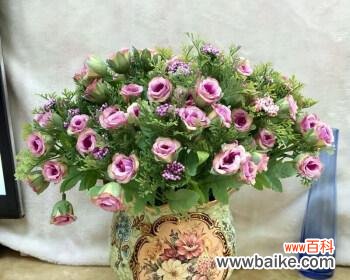 探索紫玫瑰花的寓意与传说 紫玫瑰花