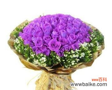 探寻紫色玫瑰的深意 紫色玫瑰的花语与寓意