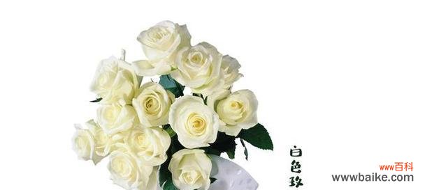 解读玫瑰花的花语 玫瑰花的花语——爱的语言与多彩含义