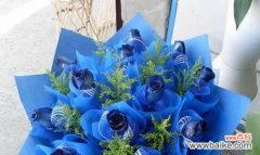 探索蓝色妖姬11朵所蕴含的意义 以蓝色妖姬11朵代表的含义