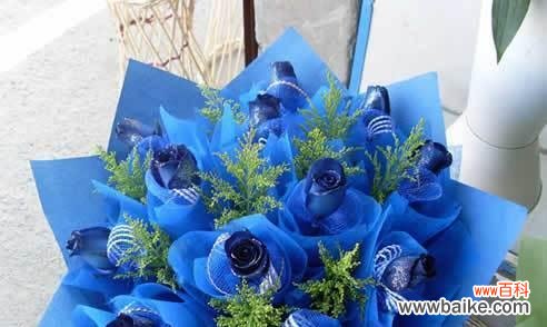 探索蓝色妖姬11朵所蕴含的意义 以蓝色妖姬11朵代表的含义