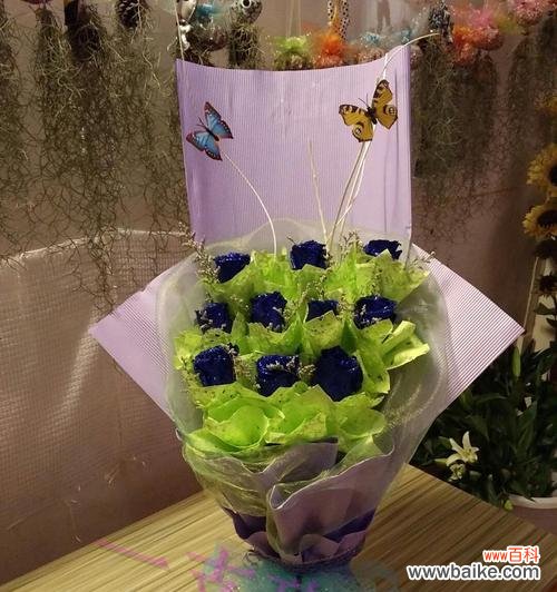 探索蓝色妖姬11朵所蕴含的意义 以蓝色妖姬11朵代表的含义