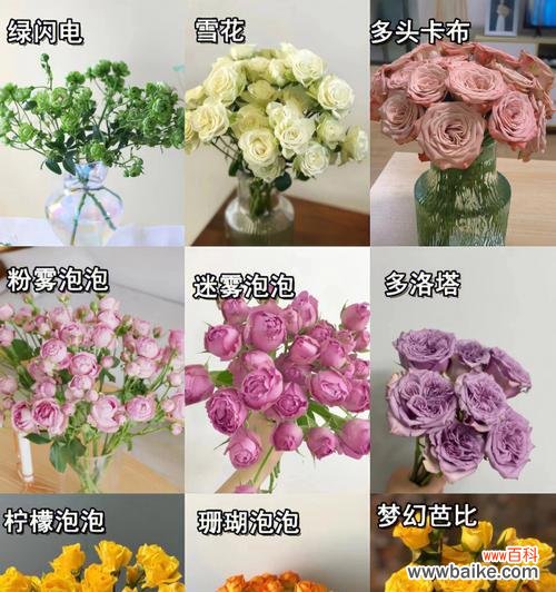 探寻多头玫瑰的深层寓意 多头玫瑰的花语