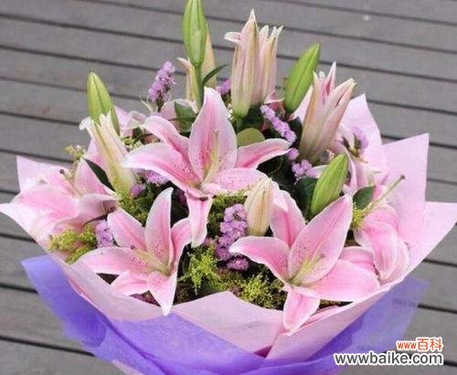 传递纯真与温柔的花语 粉色百合花语之爱与美