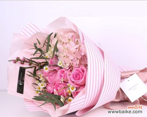 探索粉佳人花的神秘语言 以粉佳人的花语是什么