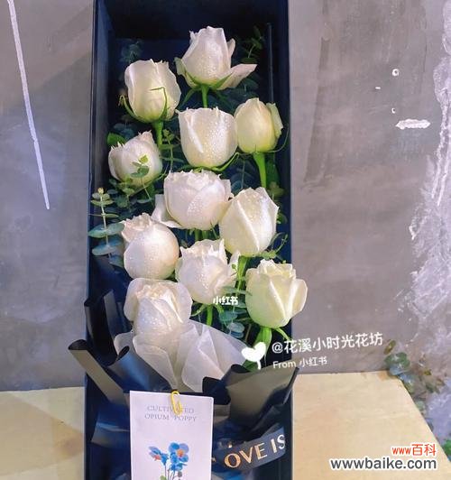 探索白玫瑰的花语及其深层含义 白玫瑰的花语