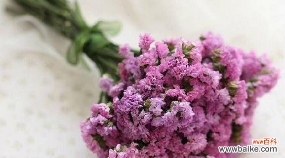 探索以勿忘草的神秘花语 以勿忘草的花语与意义