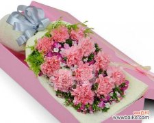 相思梅之爱的呼唤 相思梅的花语及其寓意