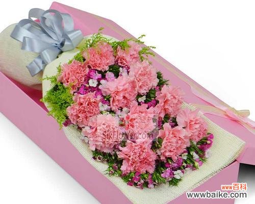 相思梅之爱的呼唤 相思梅的花语及其寓意