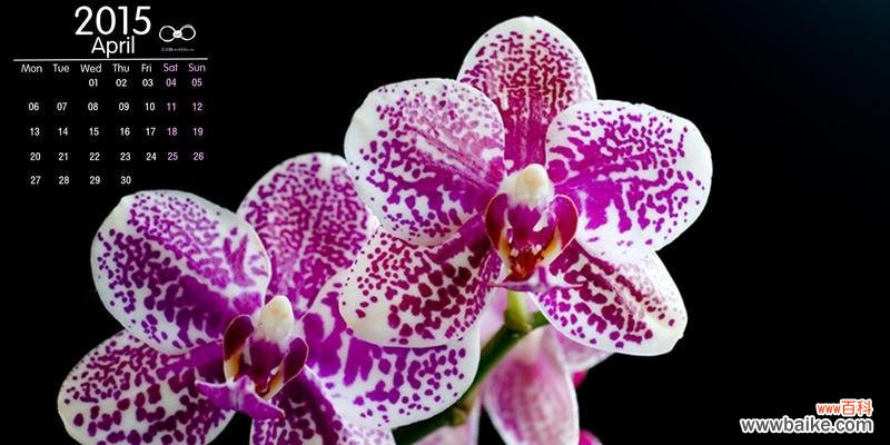 探索自然 美好的植物世界