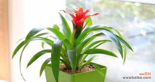 向上攀登 职场晋升之路