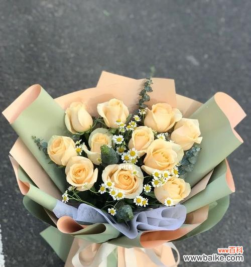 香槟玫瑰的浪漫与祝福 11朵香槟玫瑰的代表寓意