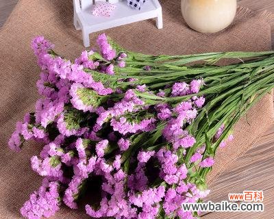 美丽而深刻的勿忘我花 以勿忘我花的意义和象征