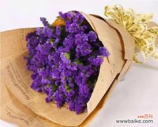 唤醒心灵的纯真与感动 永恒的爱——以勿忘我的花语为象征的浓情厚谊