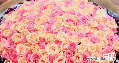 美丽与坚韧并存的仙人球花 仙人球花语的象征与寓意