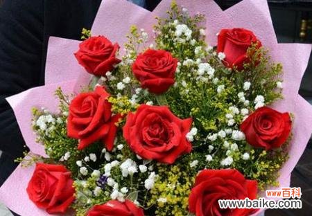 仙人掌花语背后的意义与内涵 仙人掌花语的象征与寓意