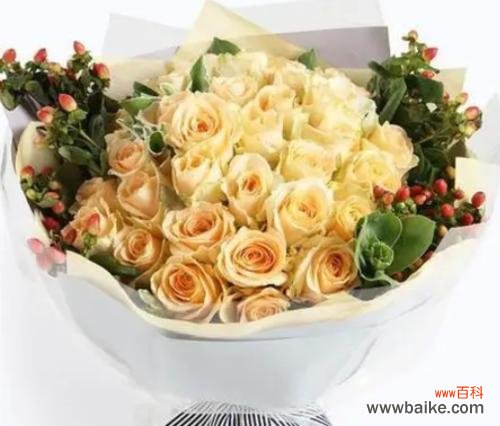 探寻香槟玫瑰花的情感寓意 香槟玫瑰花语解读