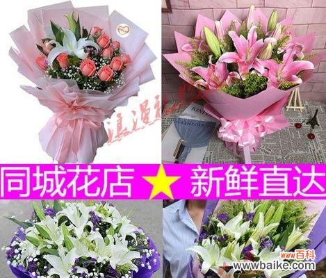 探寻向日葵花的神秘之美 向日葵的花语与寓意