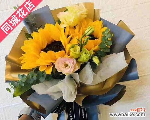 探寻向日葵花的神秘之美 向日葵的花语与寓意