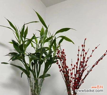 探索自然奇观 步步高升